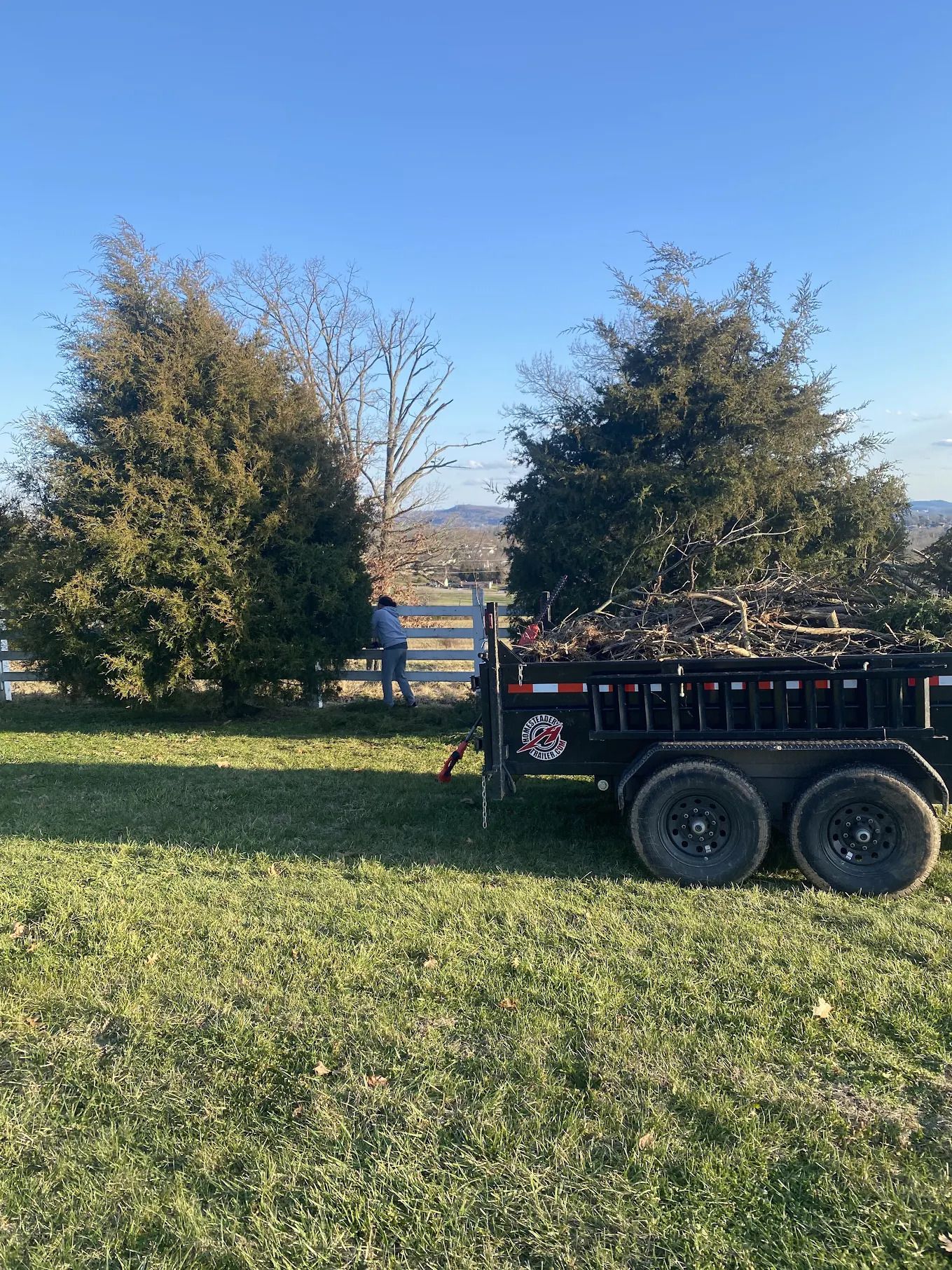 Tree Trimming & Pruning in Kentucky