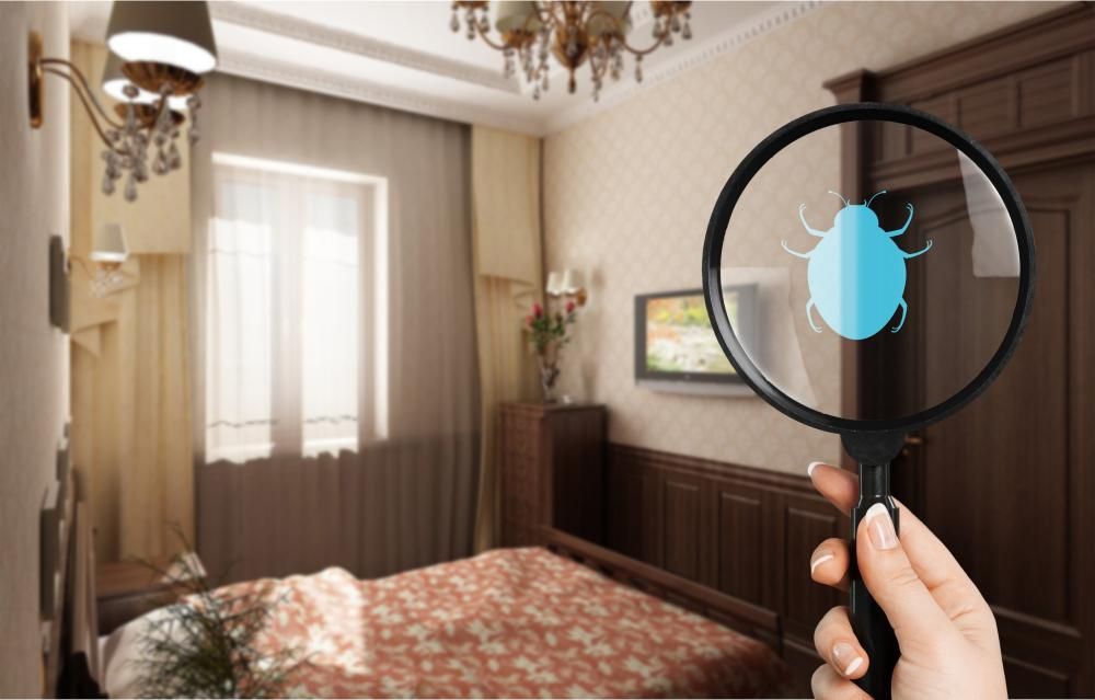 A Person Holding A Magnifying Glass Over A Bug In A Bedroom — Arafura Pest Control Darwin In Yarrawonga, NT