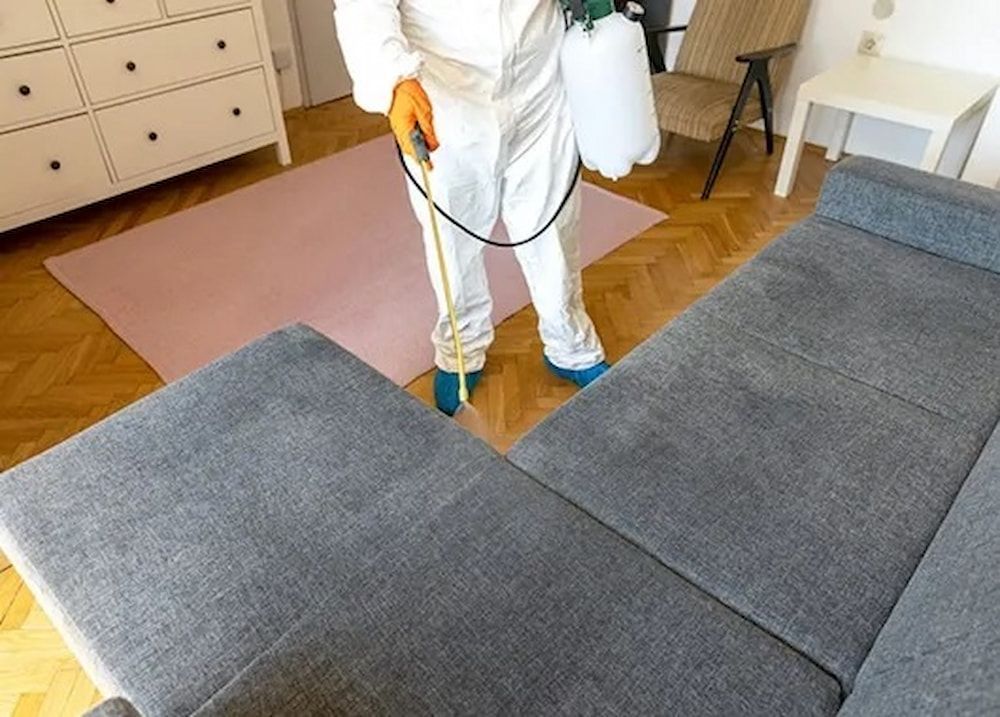 Person in Protective Suit Spraying a Gray Sofa in a Living Room — Arafura Pest Control Darwin In Yarrawonga, NT