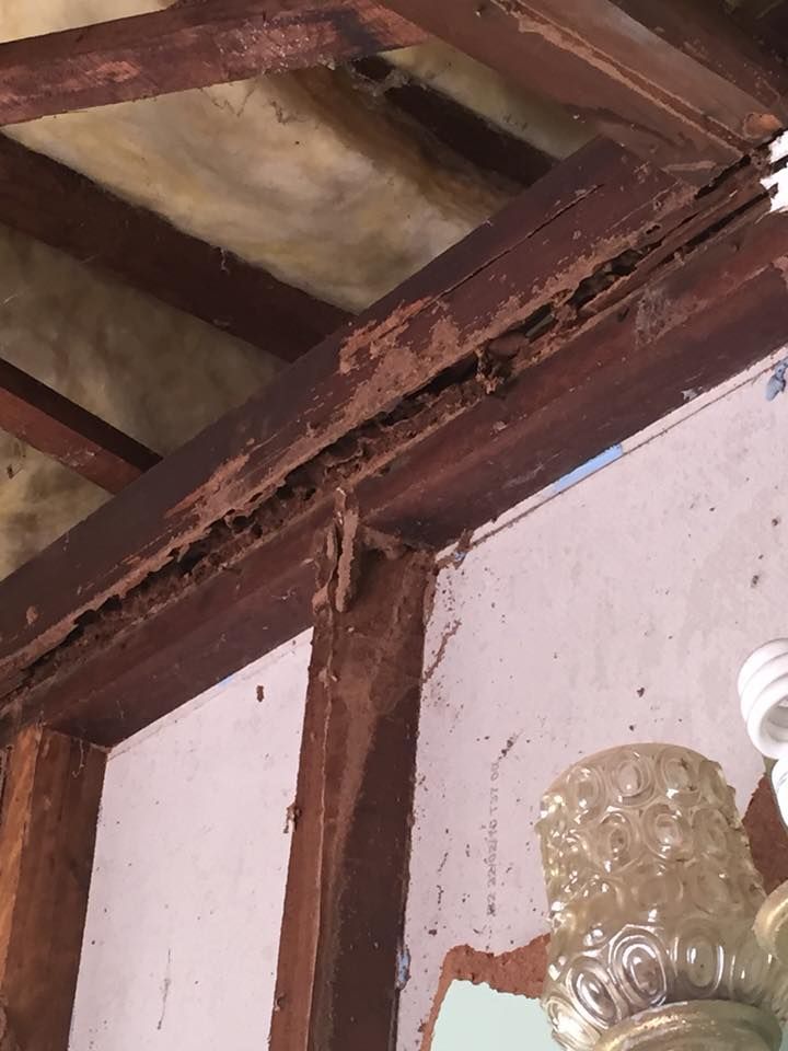 Termite Damage on A Wooden Beam in A Building's Interior — Arafura Pest Control Darwin In Yarrawonga, NT