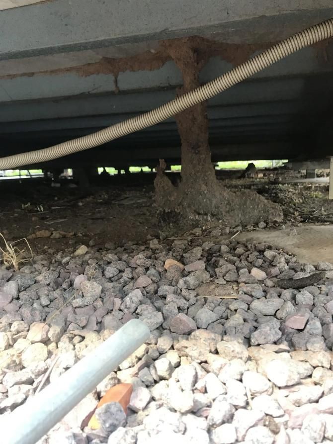 Termites Nest Underground Beneath a Building Under Construction — Arafura Pest Control Darwin In Katherine, NT