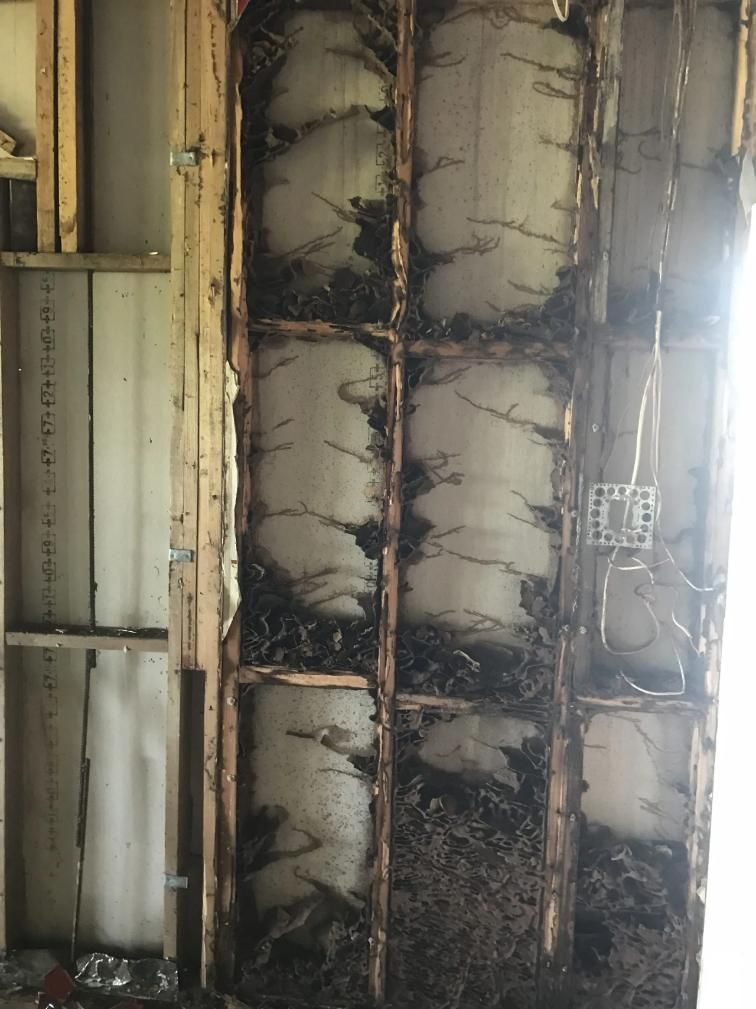 Address Termites Infestation Affecting Wood — Arafura Pest Control Darwin In Palmerston, NT
