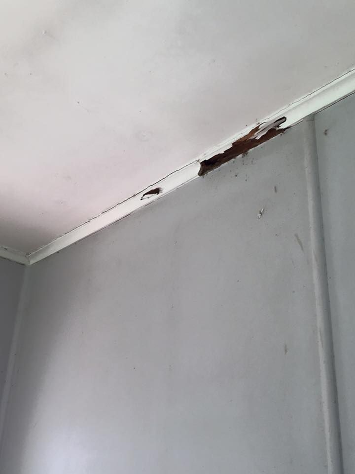 Damaged Corner of A Room with A White Ceiling — Arafura Pest Control Darwin In Yarrawonga, NT
