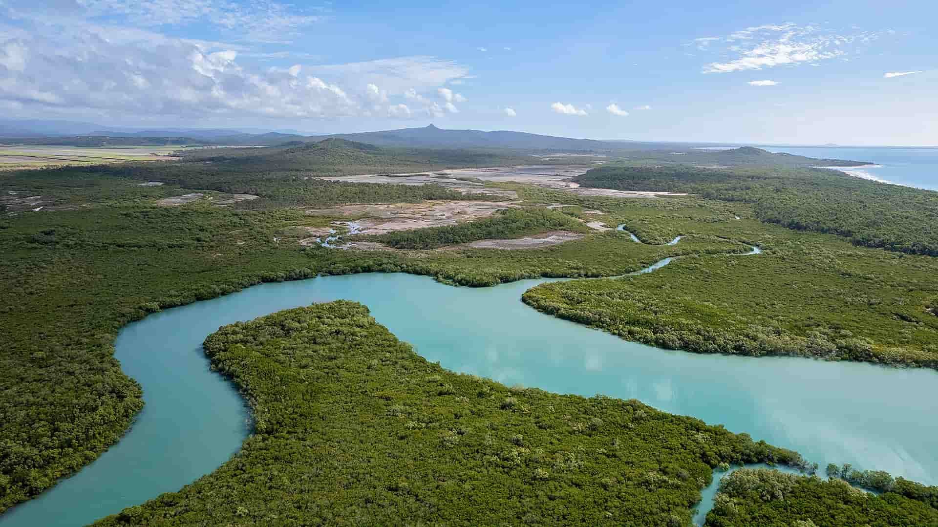 Scenic Aerial View of a Meandering River with Lush Vegetation on Its Banks in Palmerston