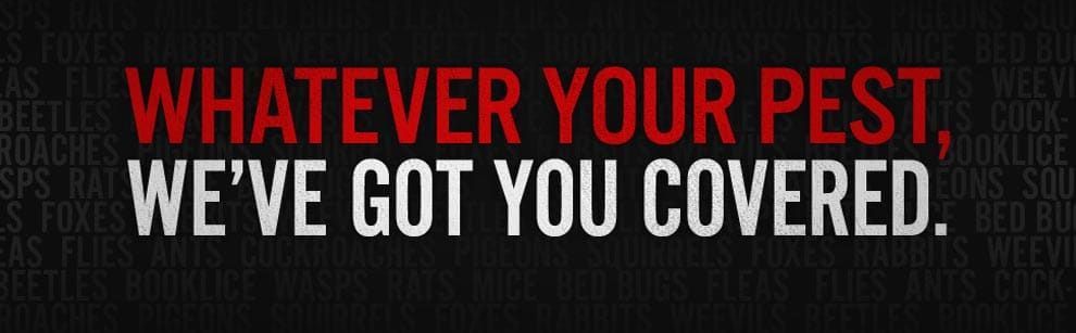 Business Slogan — Arafura Pest Control Darwin In Yarrawonga, NT