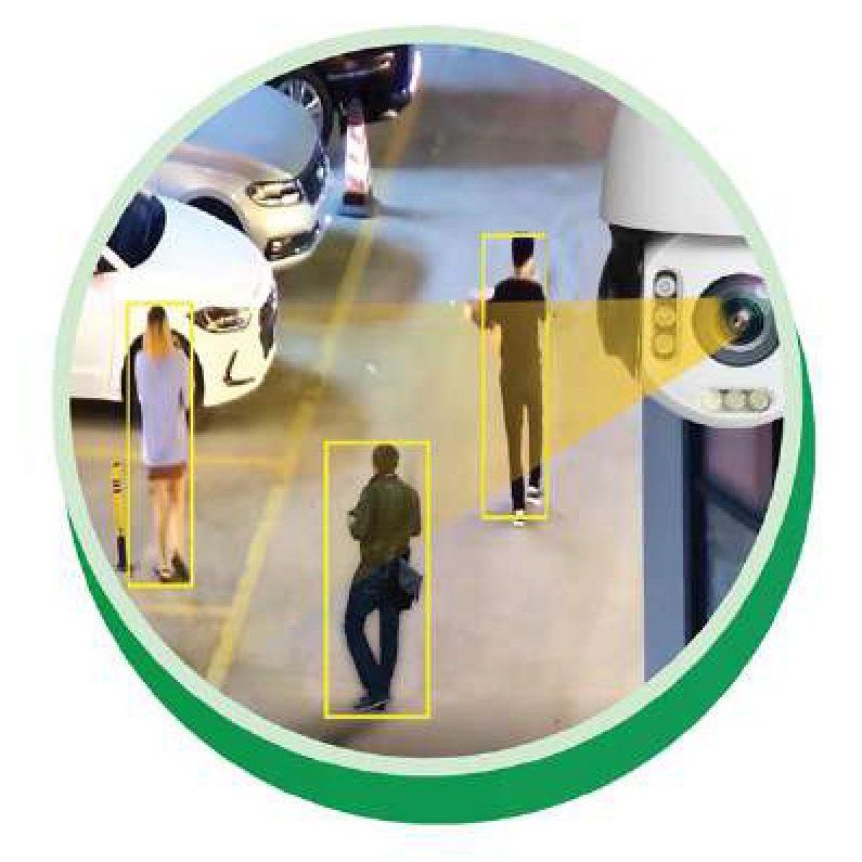 immagine ecocam scau ecologica