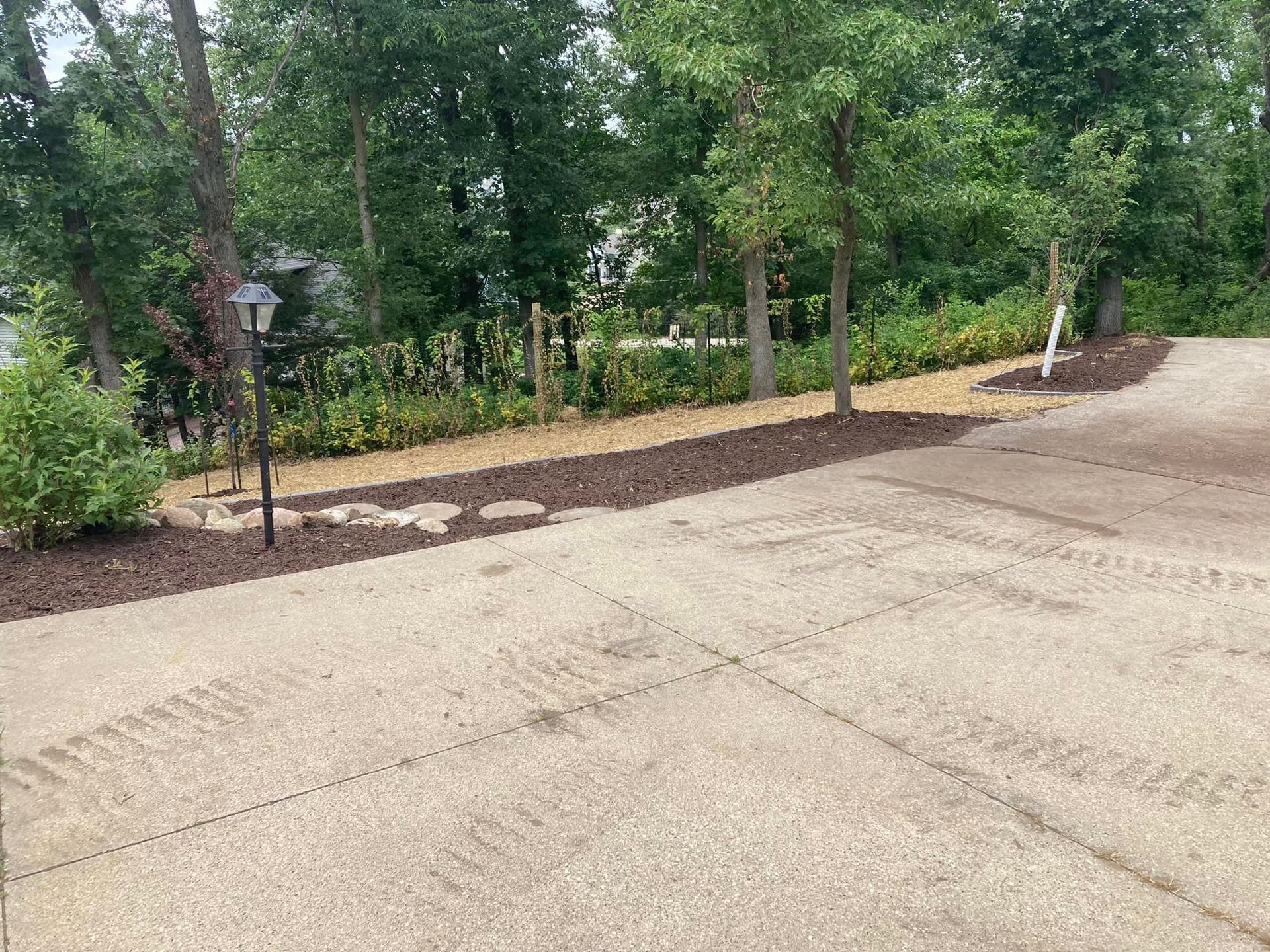 Concrete driveway next to a mulched garden bed with young trees.
