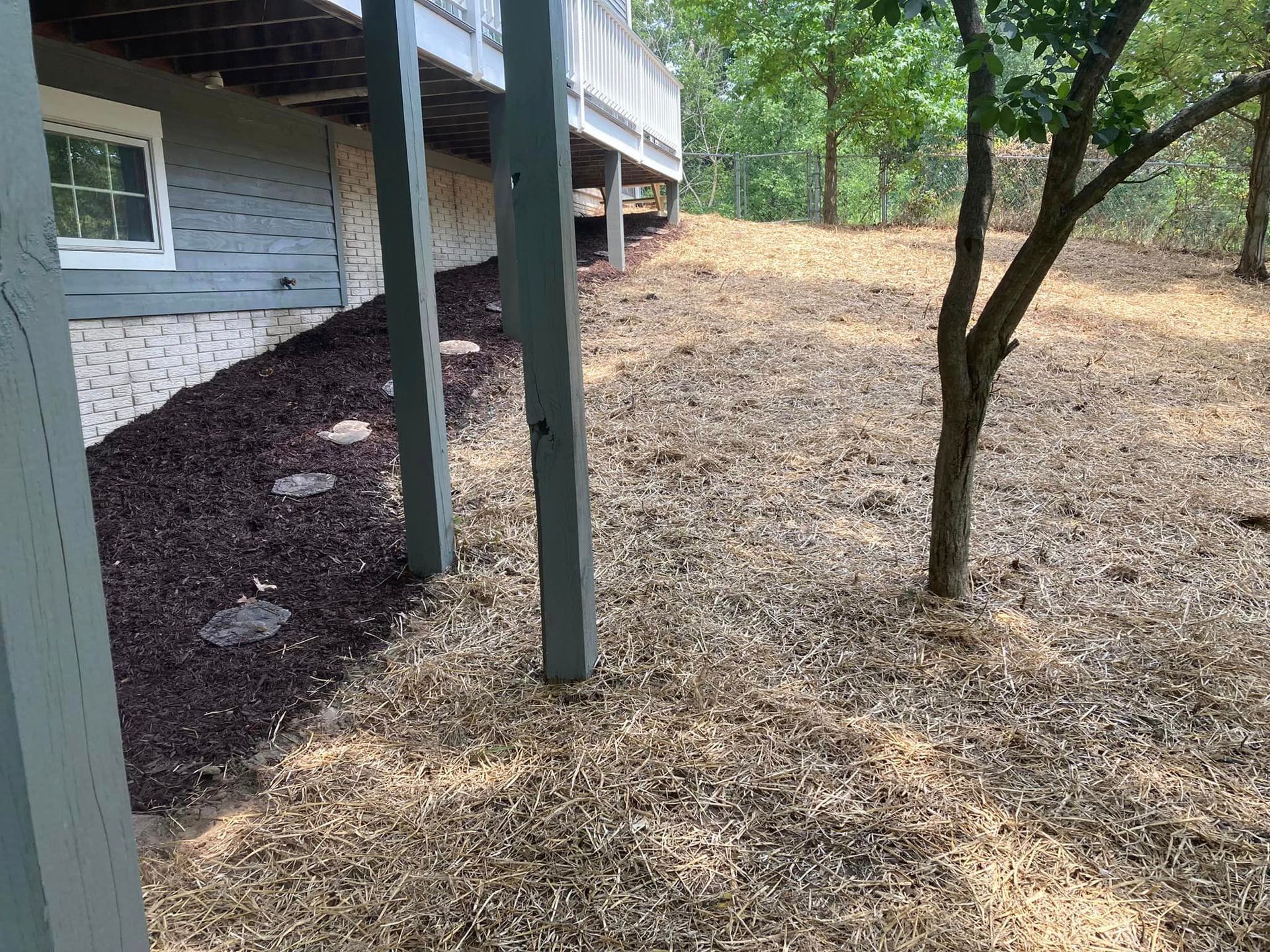 Yard with a deck. The ground is dry, with mulch near the house and a small tree on the right.