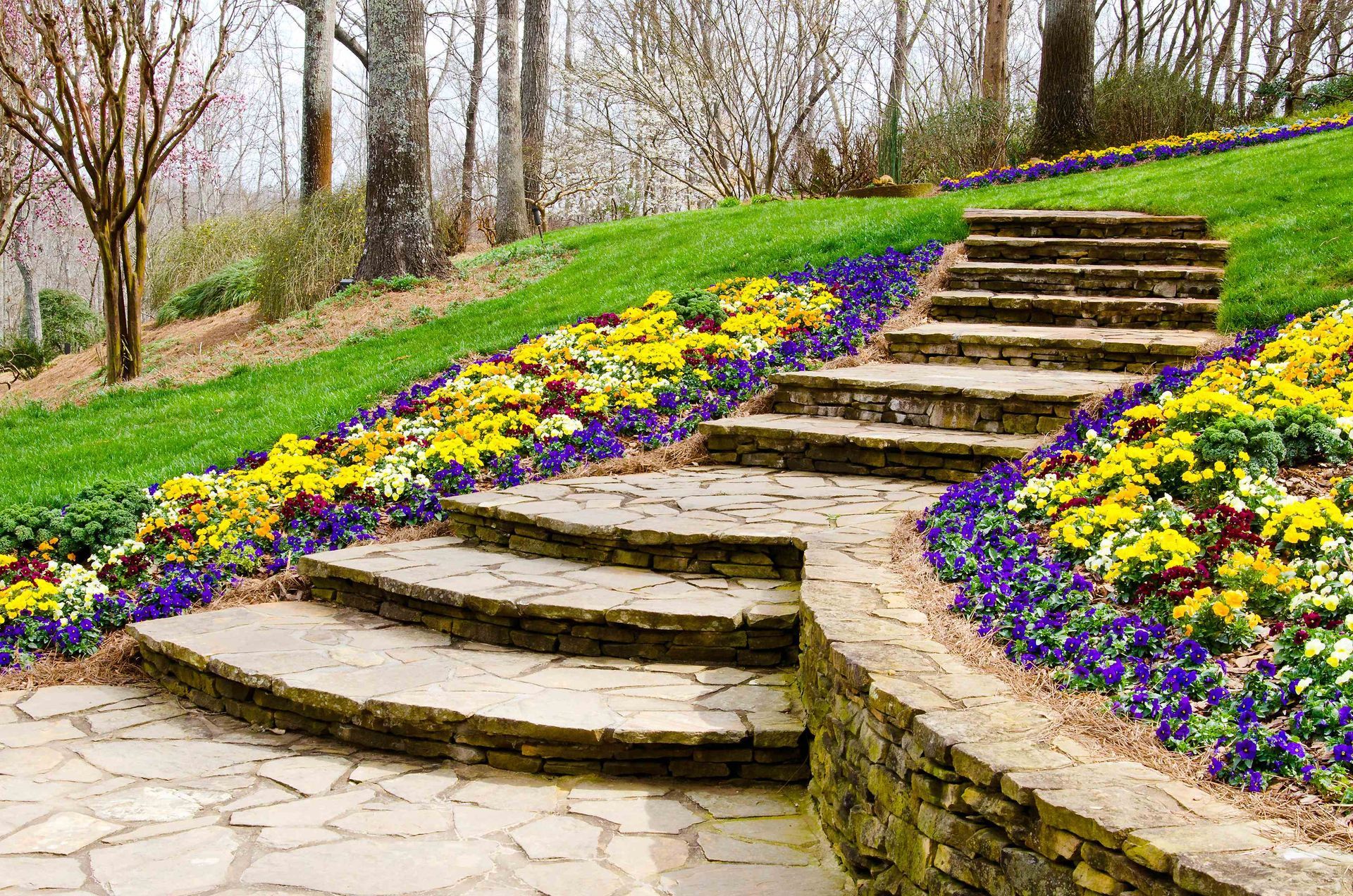 a stone walkway leading up to a lush green hillside surrounded by yellow and purple flowers