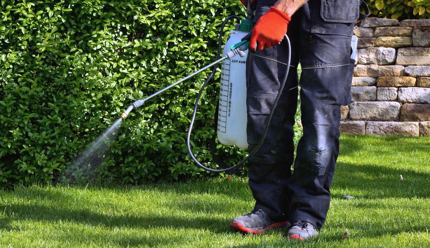 A man is spraying a lawn with a sprayer.