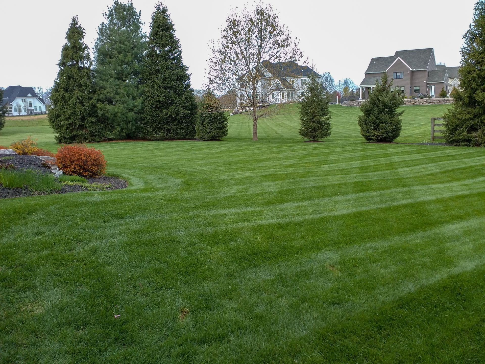 A lush green lawn with a house in the background