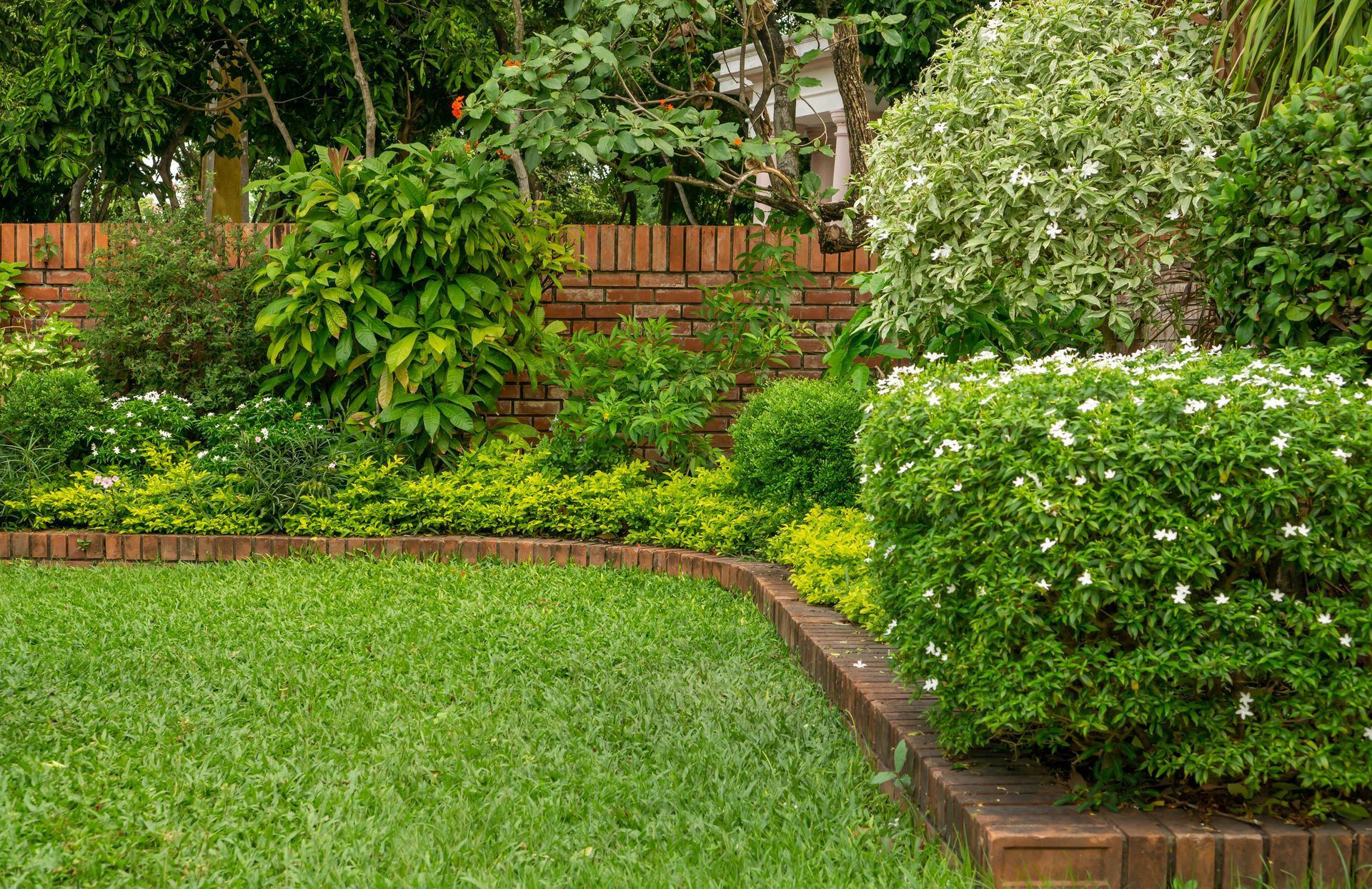 A lush green garden with a brick wall and a lush green lawn.
