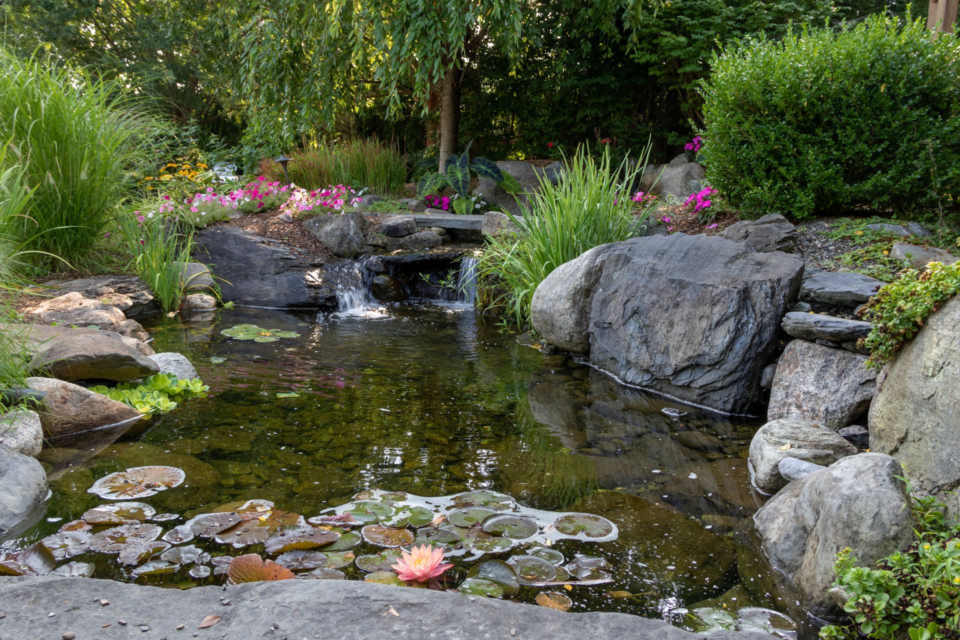 A pond with water lilies and rocks in a garden