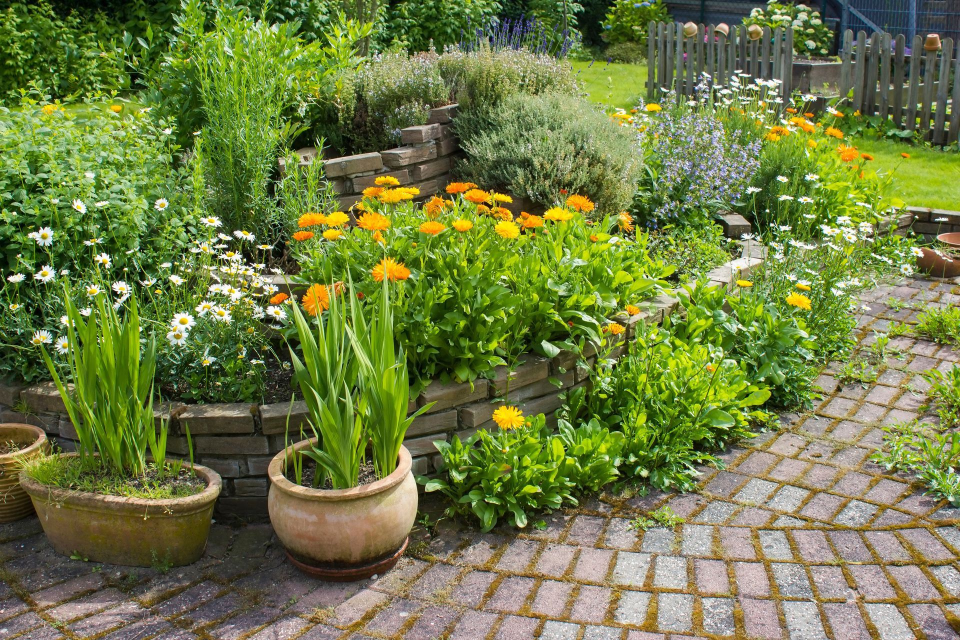 There are many potted plants in the garden.