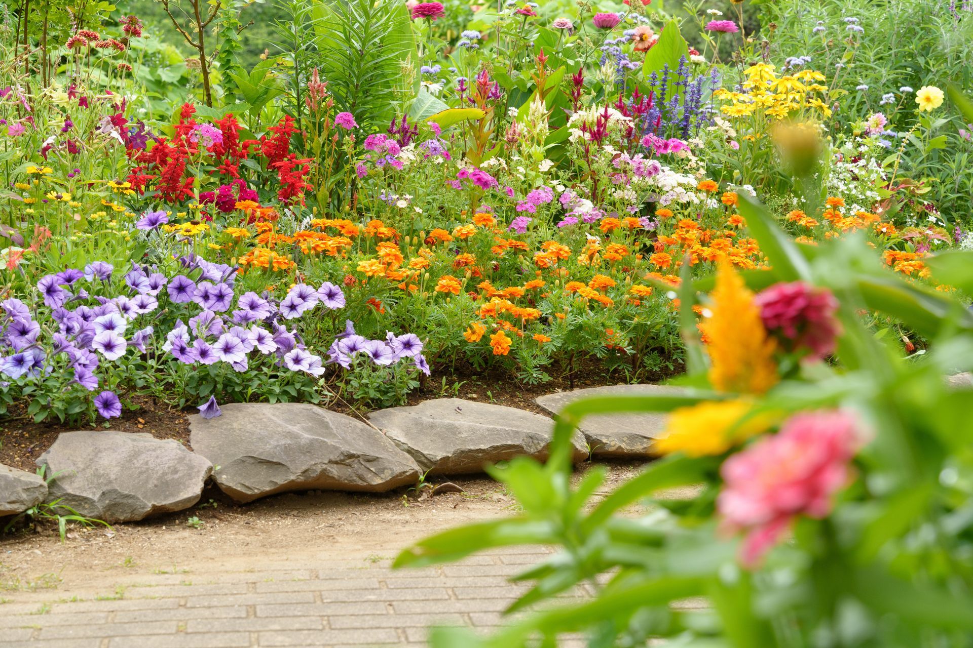 A garden filled with lots of colorful flowers and rocks.