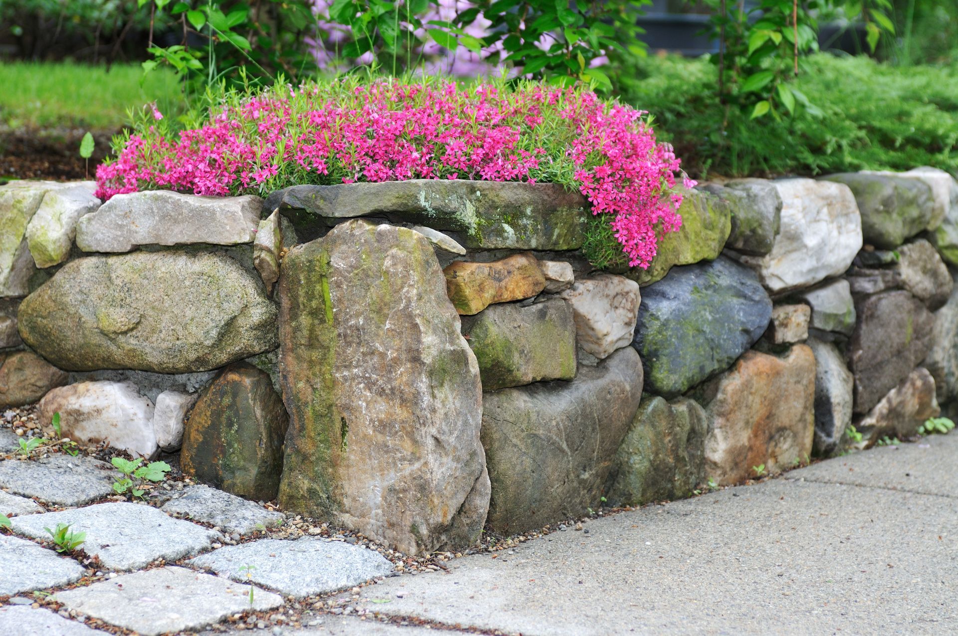 A stone wall with pink flowers growing on it.