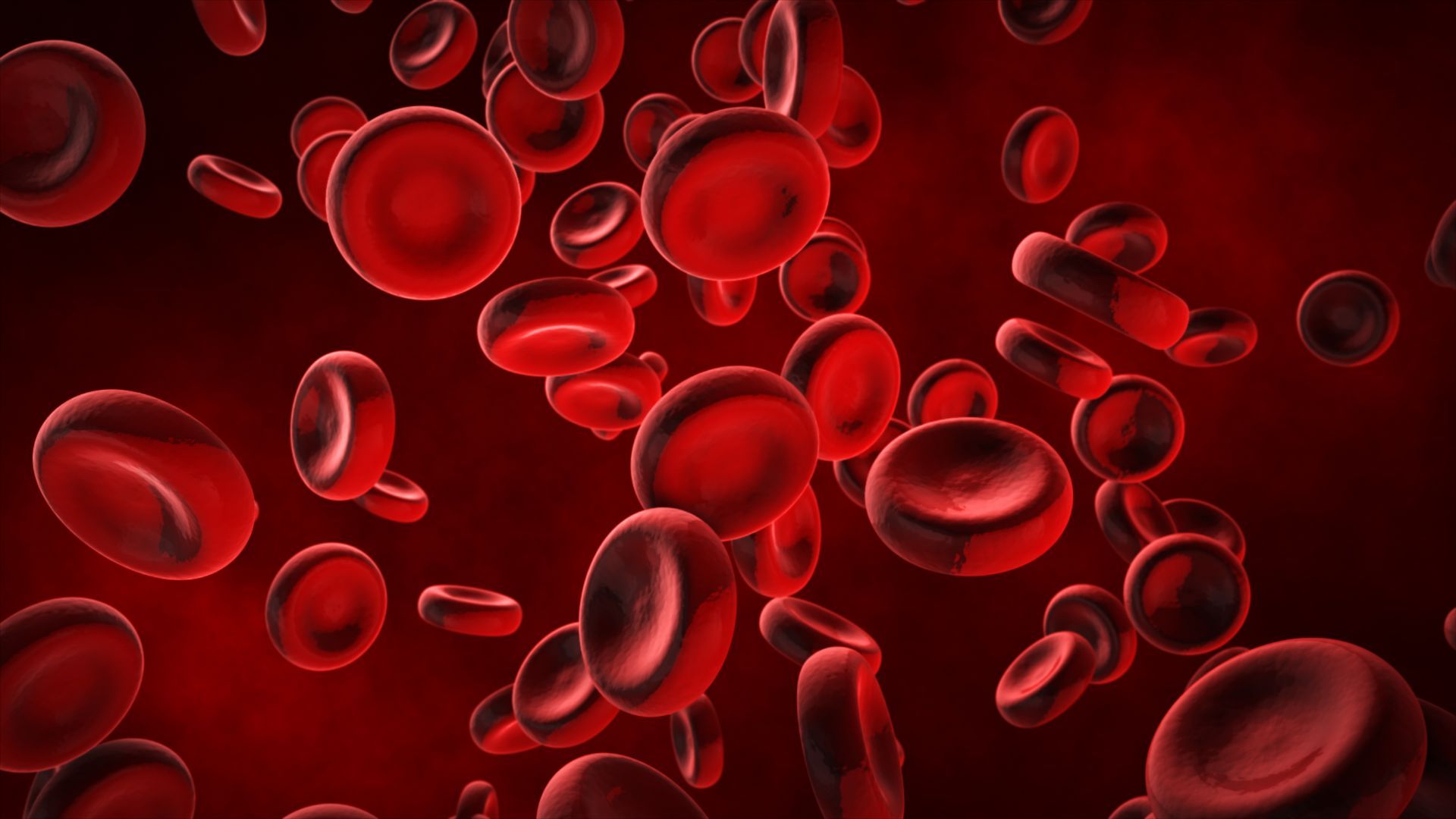 Red Blood Cells