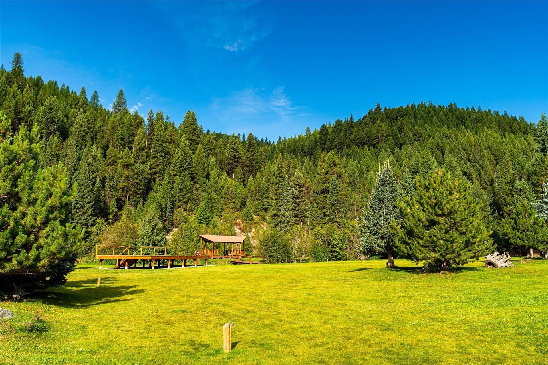 Sunny meadow with yellow wildflowers, evergreen forest, and a small cabin under a blue sky