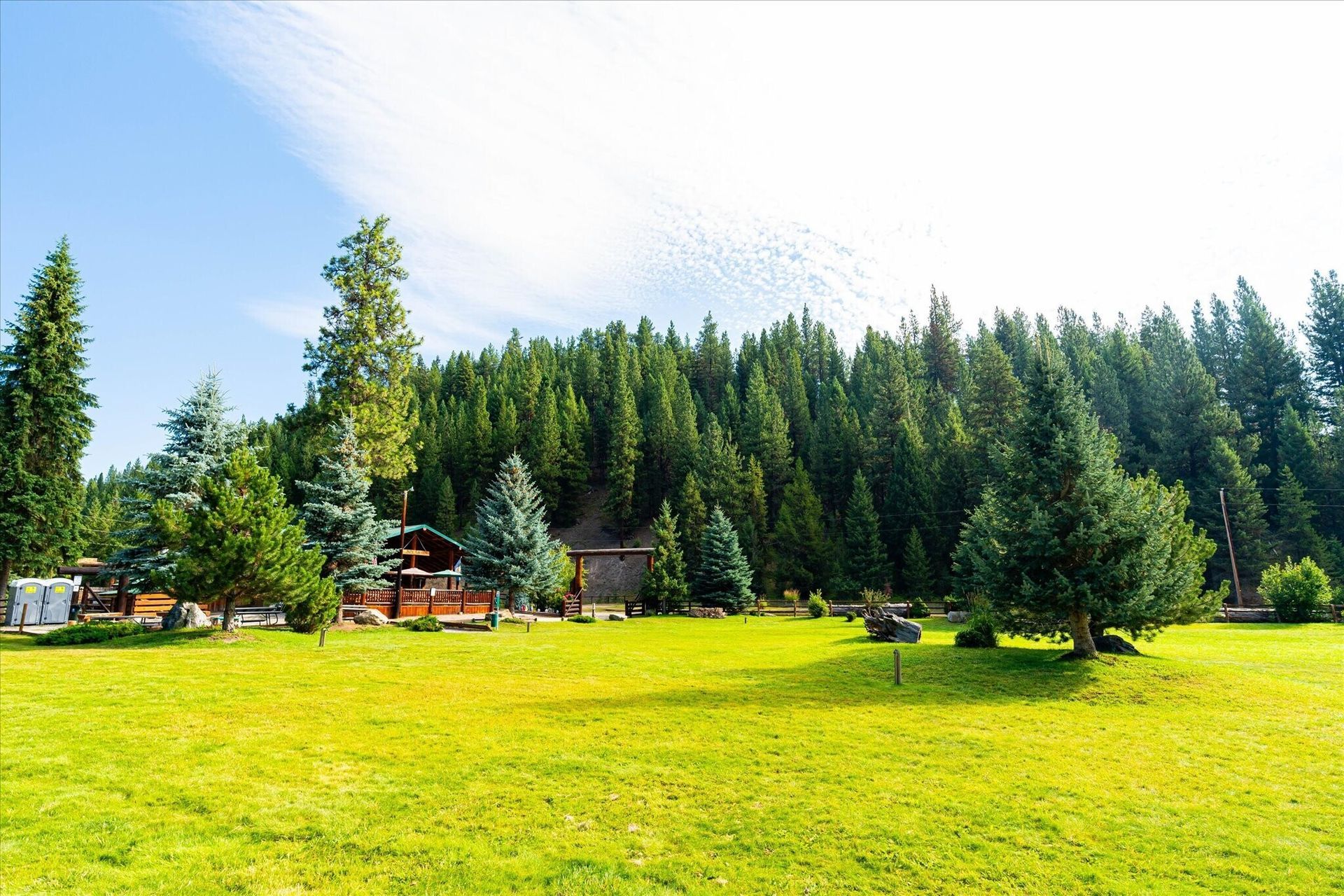 Sunny meadow with green grass, tall pine trees, and small cabins under a clear blue sky