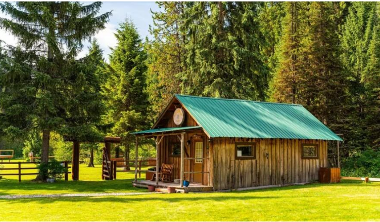 Wooden cabin with green roof in a sunny grassy forest clearing