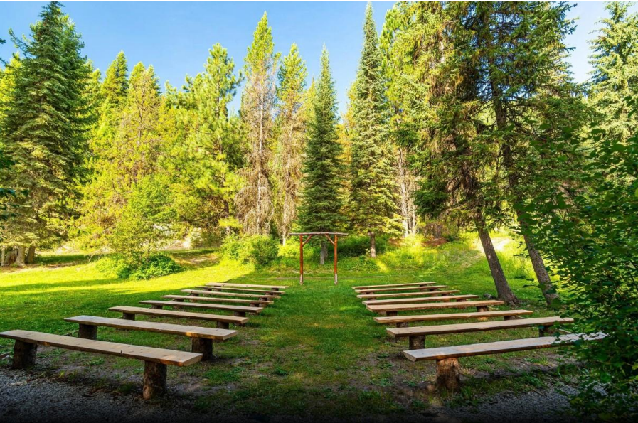 Wooden benches in a grassy outdoor clearing among tall green trees and bright sunlight