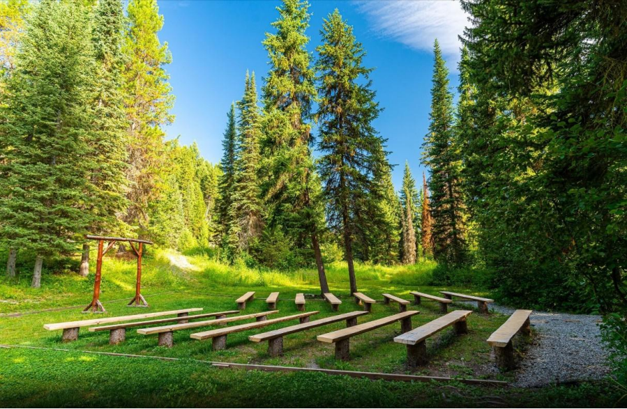 Outdoor amphitheater seats in a sunny pine forest clearing