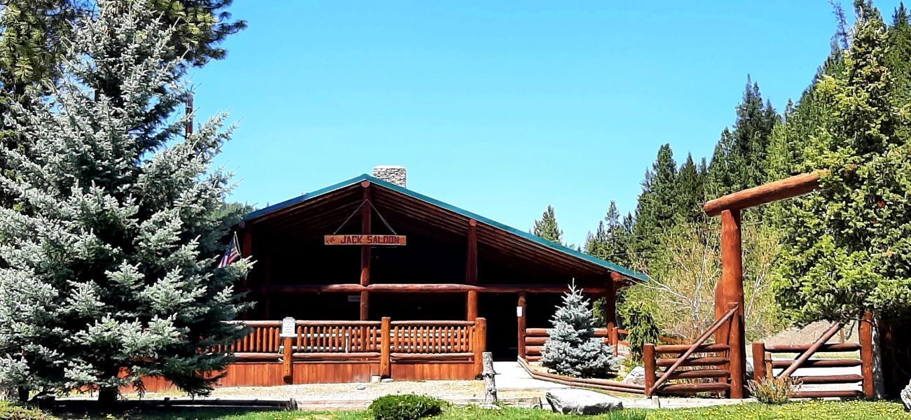 Rustic cabin with wood porch and log swing, surrounded by pine trees under a clear blue sky