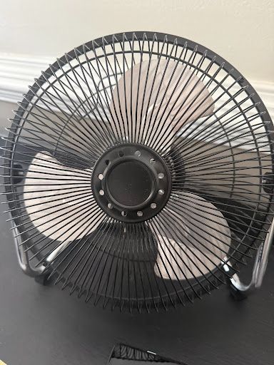 fan in home