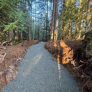 Gravel trail curving through a sunlit forest with tall trees and dirt embankments