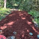 Fresh reddish mulch spread along a forest path, with dappled sunlight and trees on both sides