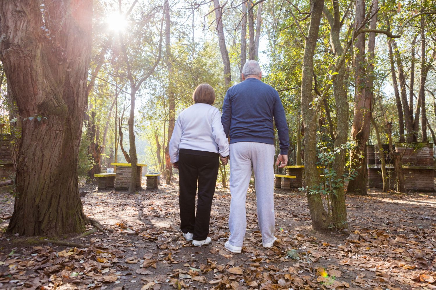 Senior couple holding hands while walking on a path through a wooded area. Sunlight shines.