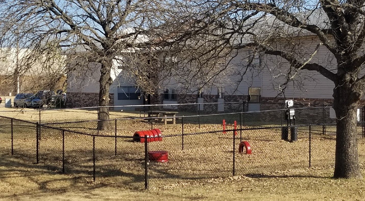 Photo of a dog park
