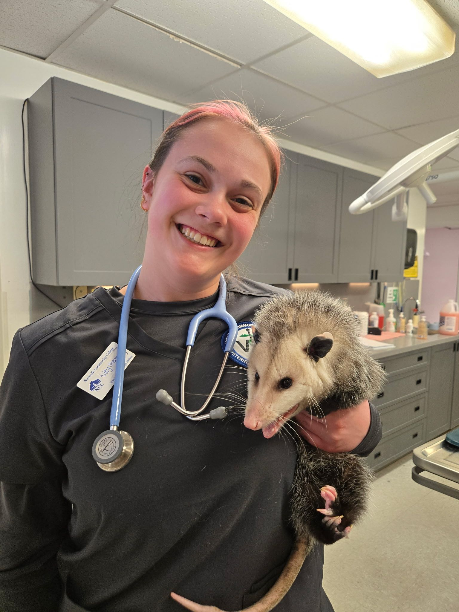 Jenny – Groomer