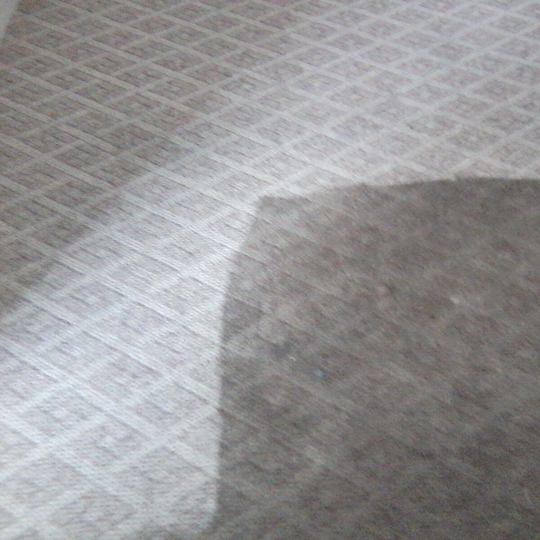 Final Cleaning Carpet - Greenville, NC - Jansen Upholstery & Carpet Cleaning Final Cleaning Carpet - Greenville, NC - Jansen Upholstery & Carpet Cleaning