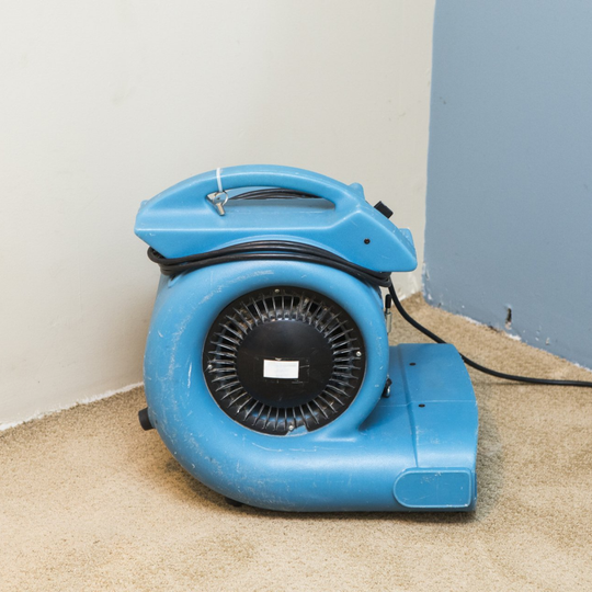 Intense Drying - Greenville, NC - Jansen Upholstery & Carpet Cleaning Intense Drying - Greenville, NC - Jansen Upholstery & Carpet Cleaning