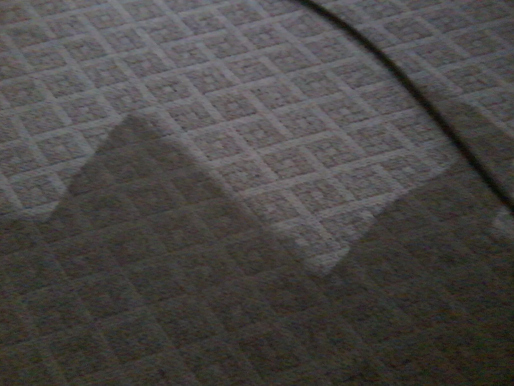 Rug Cleaning - Greenville, NC - Jansen Upholstery & Carpet Cleaning