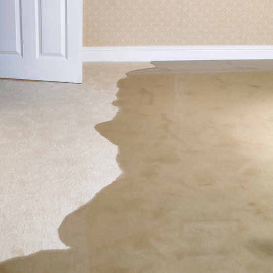 Water Removal - Greenville, NC - Jansen Upholstery & Carpet Cleaning Water Removal - Greenville, NC - Jansen Upholstery & Carpet Cleaning