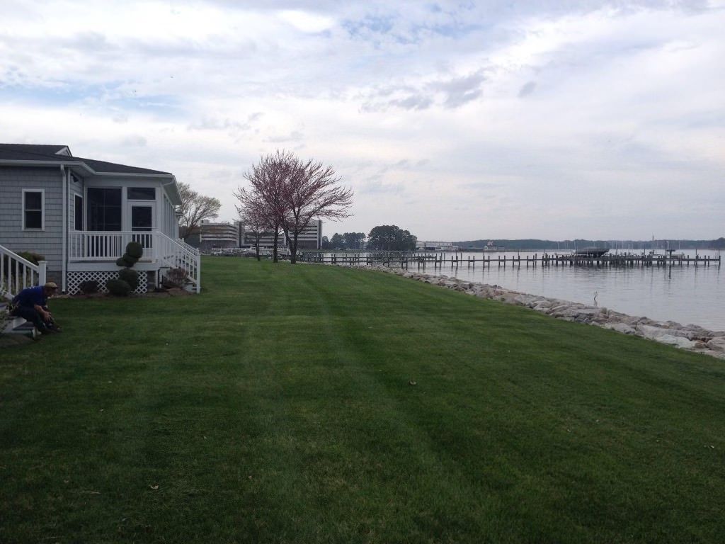 A lawn next to a body of water with a house in the background