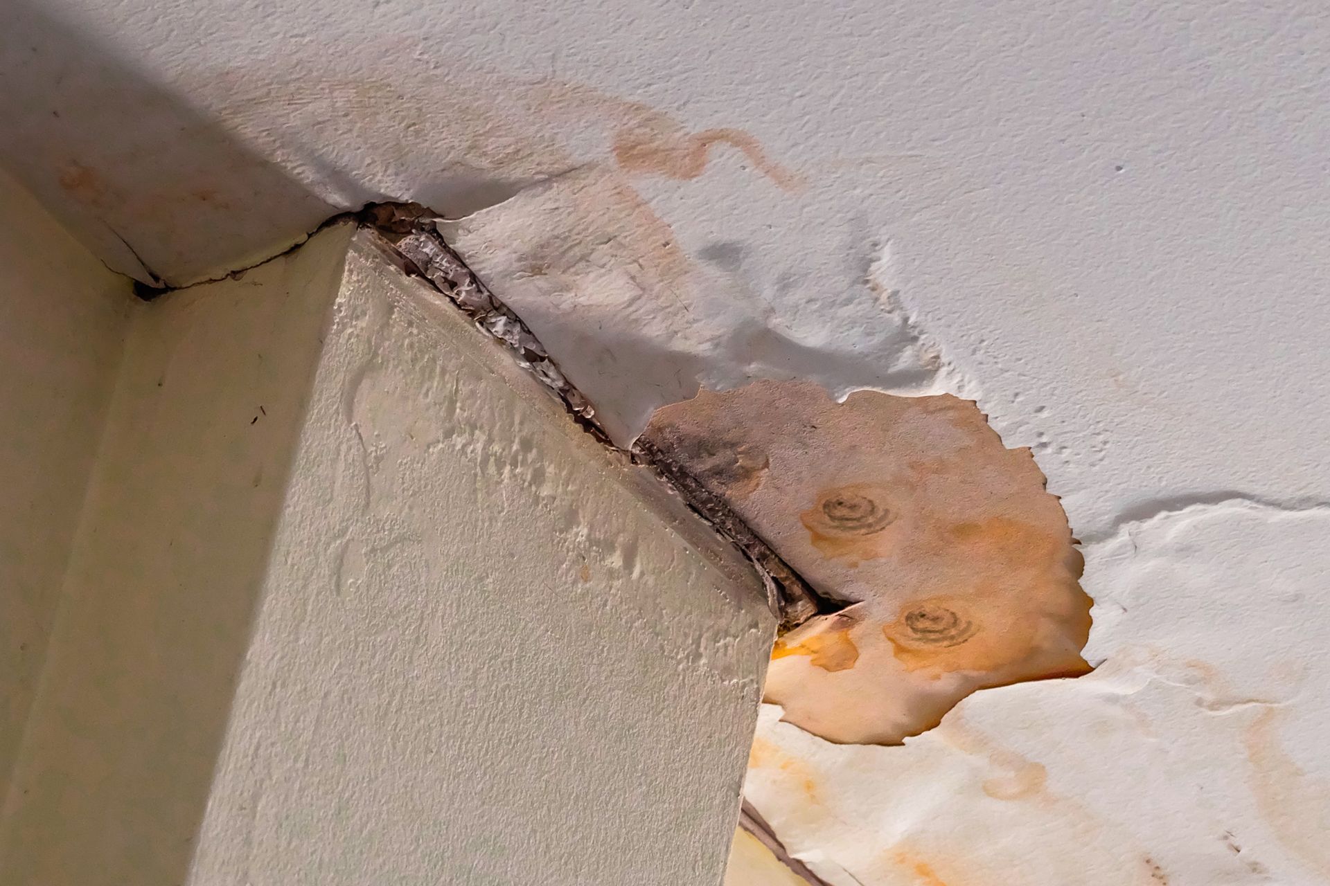 Water damage on a ceiling, with peeling paint and discoloration near a corner.