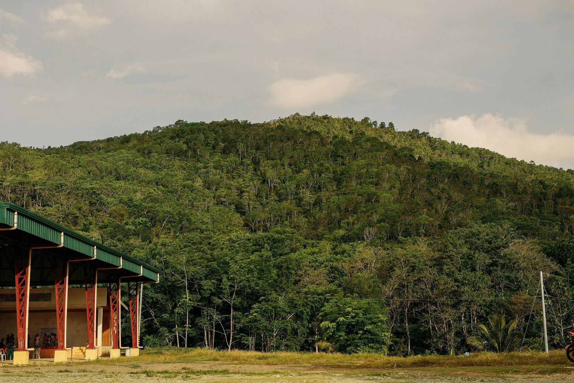 Eco-Friendly Building Practices in Charleston