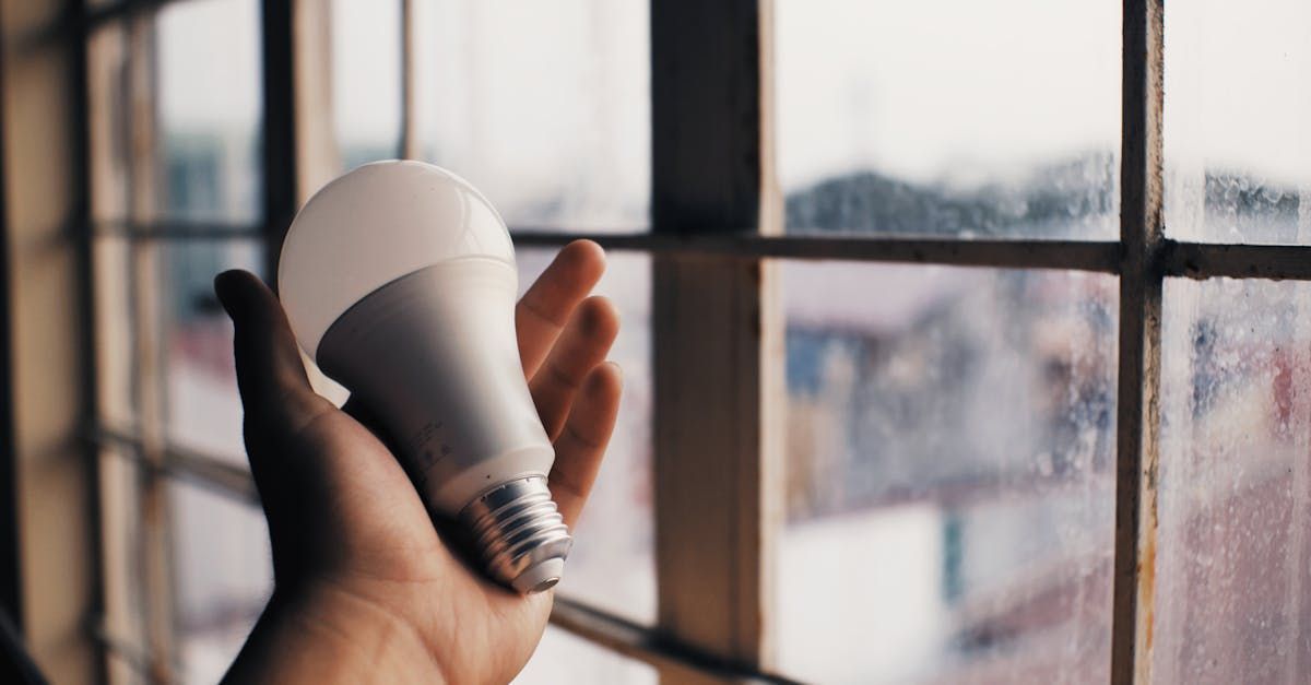 Energy-Efficient Home Features for the Lowcountry Climate