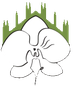 Un fiore di orchidea bianca sovrapposto alla silhouette stilizzata e verde di una cattedrale o di un edificio gotico.