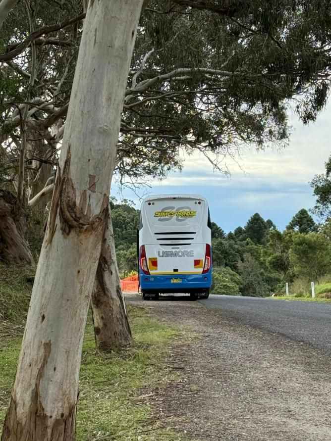 A Blue and White Bus Is Parked on The Side of The Road Next to A Tree — Simes Bros Coaches in South Lismore, NSW