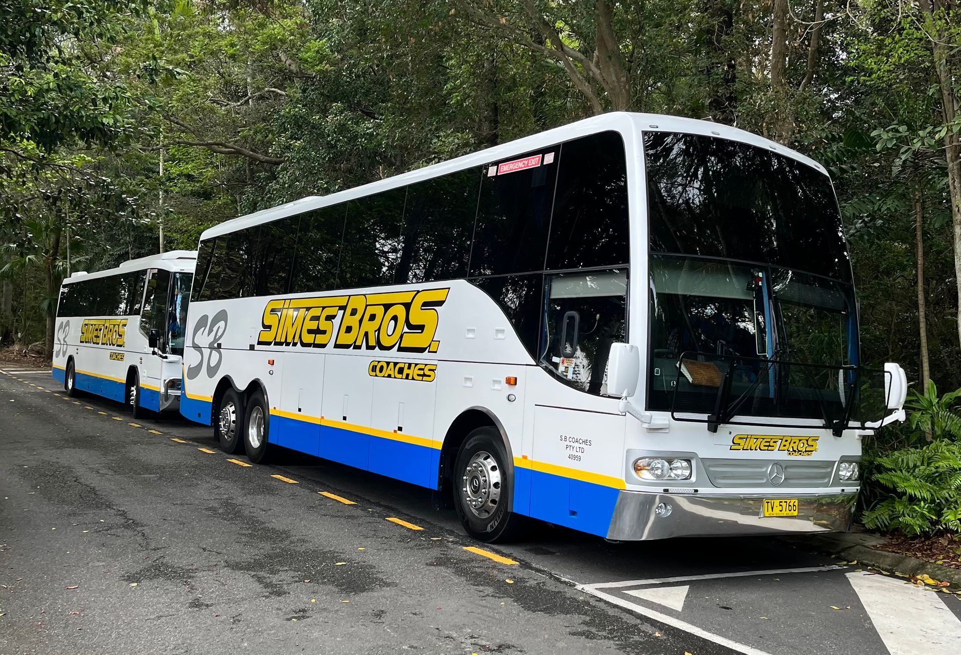 Two white and blue Saines Bros. Coaches buses parked on a road. Trees line the background.