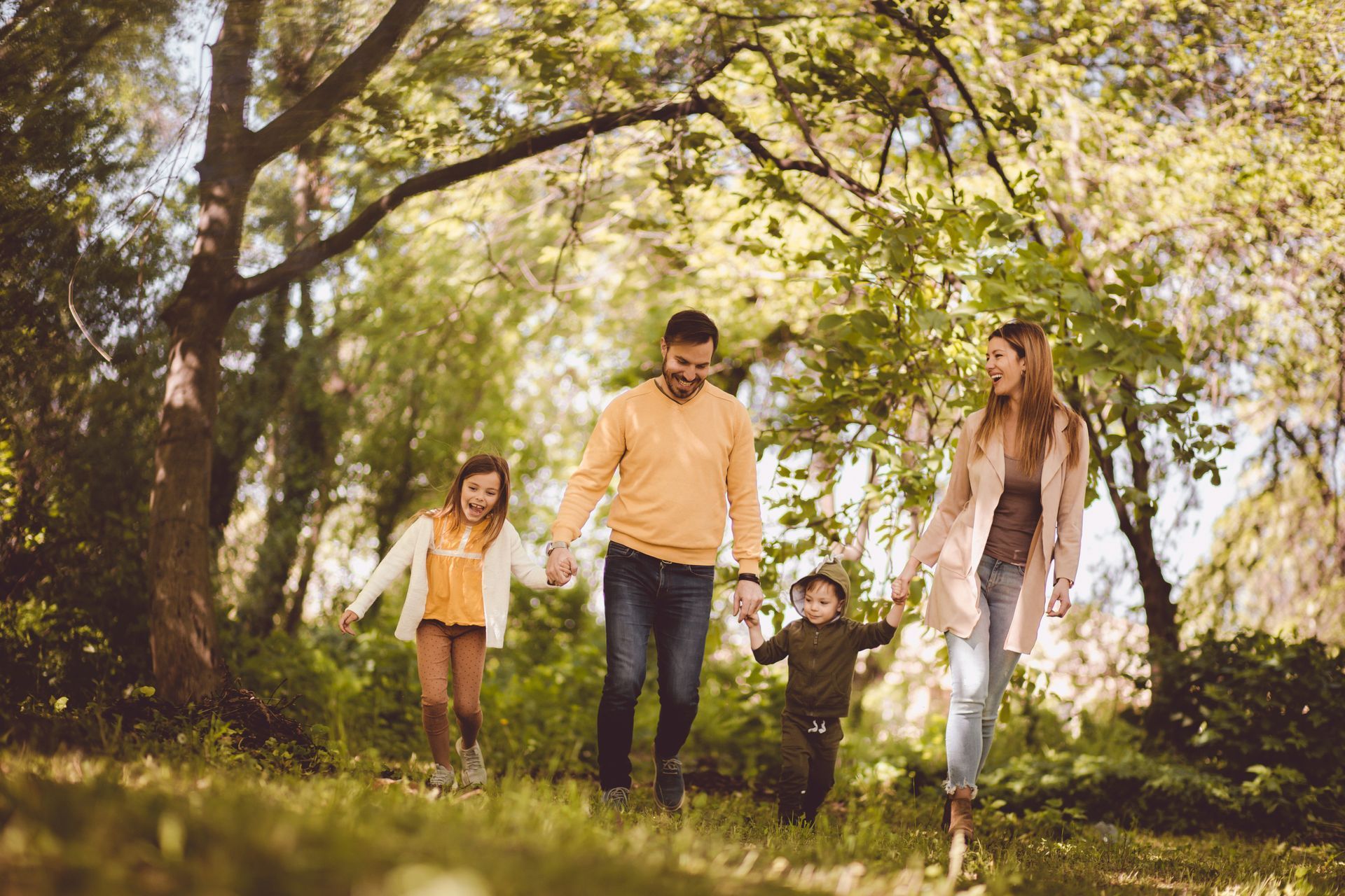 picture of a family enjoying nature during the summer