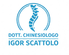 ICONA LOGO