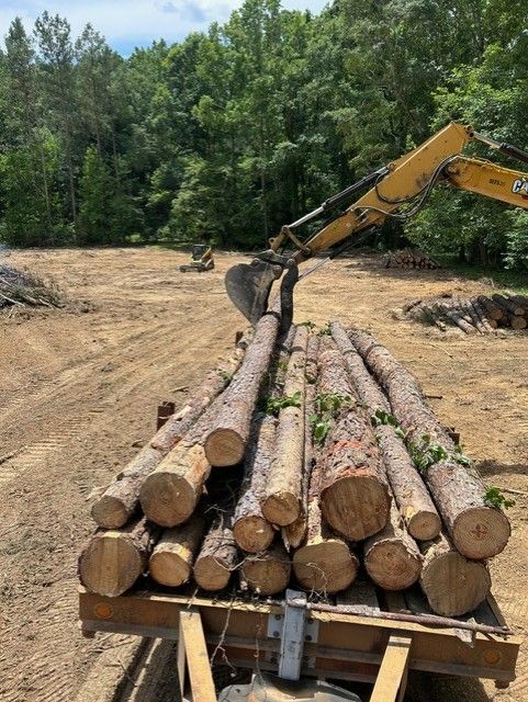 Excavator loading logs onto a trailer in a wooded clearing under a clear sky.