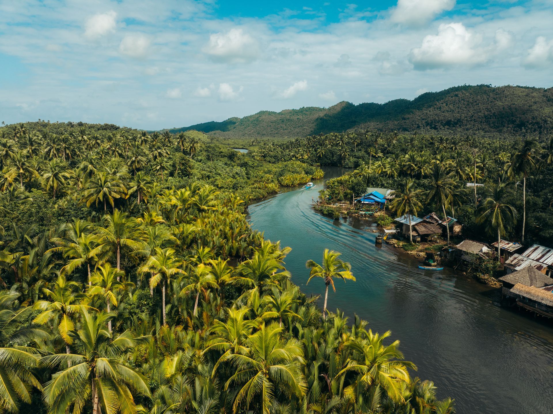 A winding river flows through a dense tropical forest with palm trees and a small riverside settlement under a blue sky.