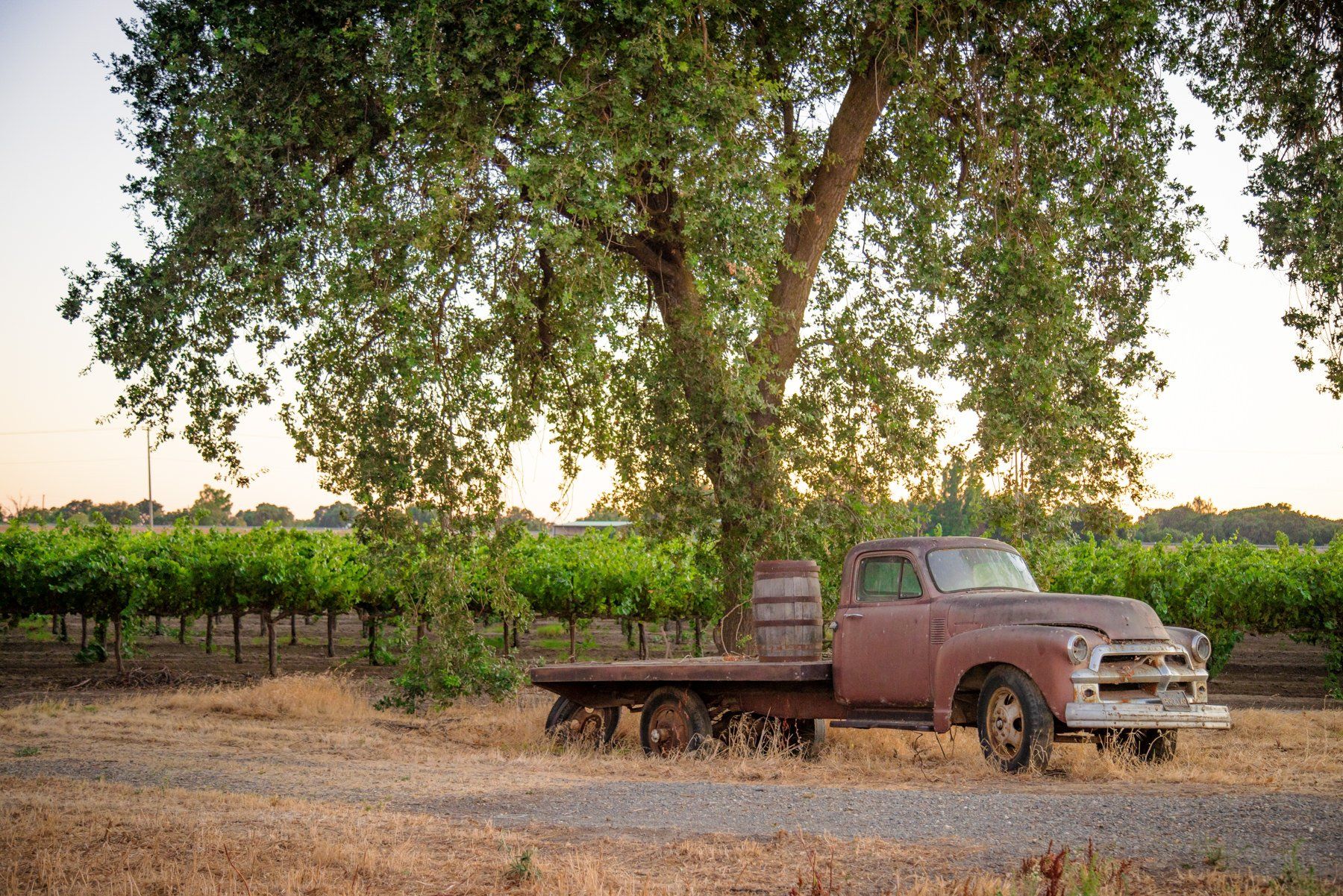 Lakeview Estates & Winery - Venue