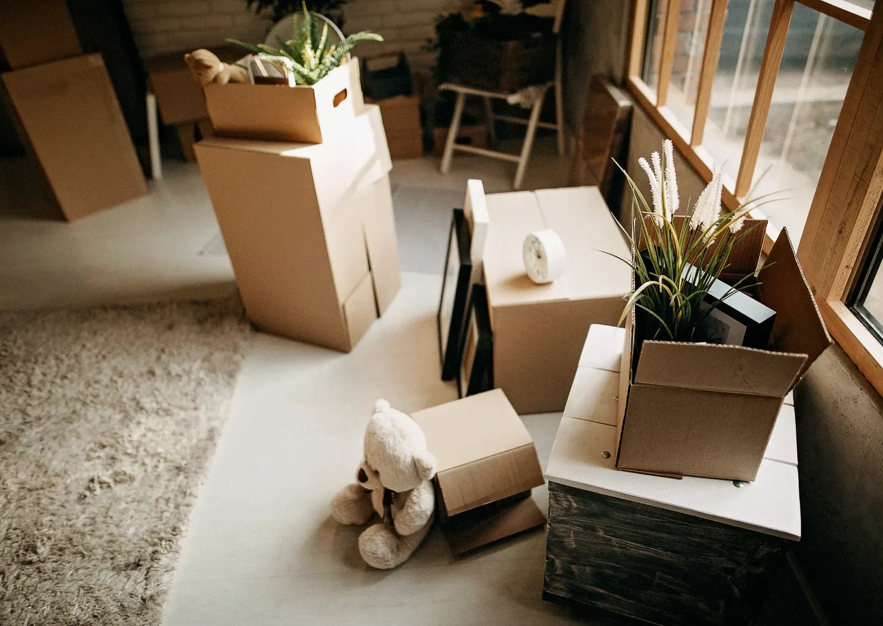 Cardboard moving boxes and a teddy bear in a sunlit room with a rug and plants